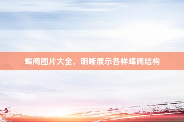 蝶阀图片大全，明晰展示各样蝶阀结构